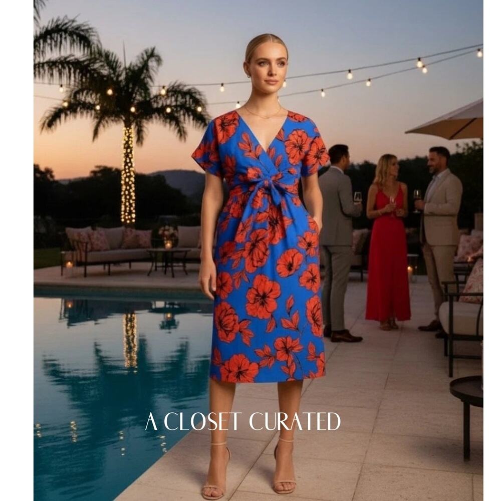 Marissa Webb Luciano Dress Small Blue Red